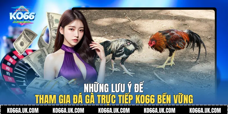 Những lưu ý để tham gia Đá Gà Trực Tiếp Ko66 bền vững
